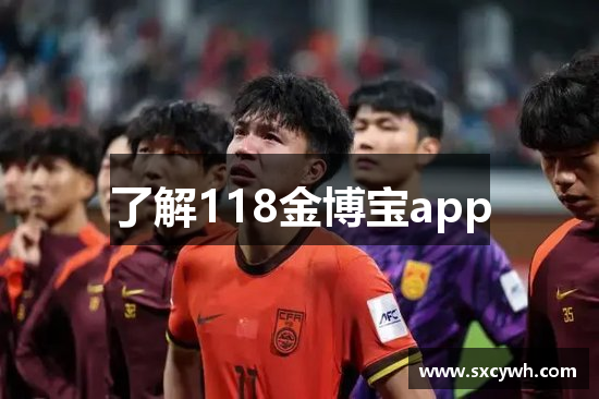 了解118金博宝app